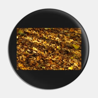 leafs carpet of gold Pin