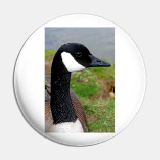 Canada Goose Canadian Geese Wild Bird Pin
