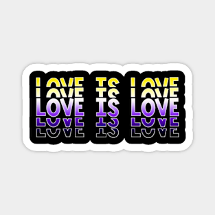 Vintage Retro Love is Love Nonbinary Stacked Letters NB Enby Pride Flag Magnet