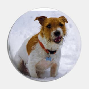 Jack russell terrier Pin