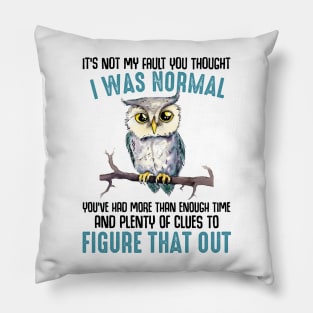 i was normal figure that out Pillow