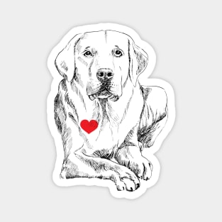 love a Labrador Magnet