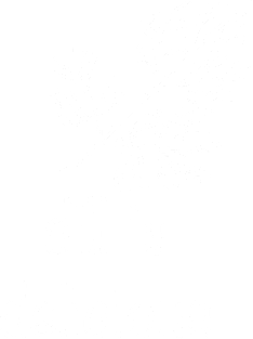 Dill is Delicious Magnet