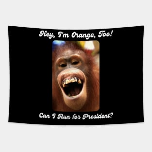 I'm Orange, Too! Can I Run for President? Tapestry