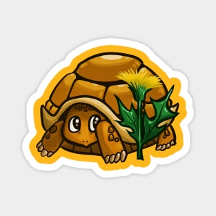 Desert Tortoise Magnet