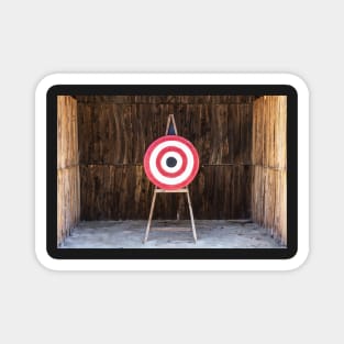 Target Practice Magnet