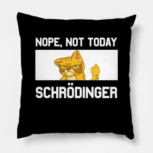 Schroedingers Cat Funny Physicist Dark Humor Pillow