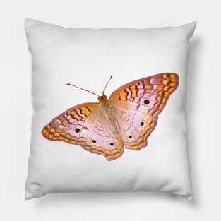 White Peacock Butterfly Pillow