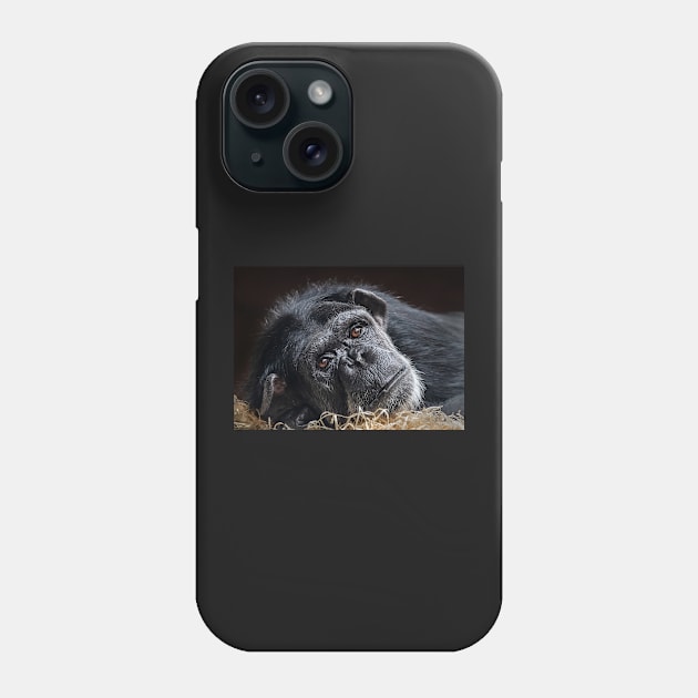 Portrait of a Chimpanzee Phone Case by TonyNorth