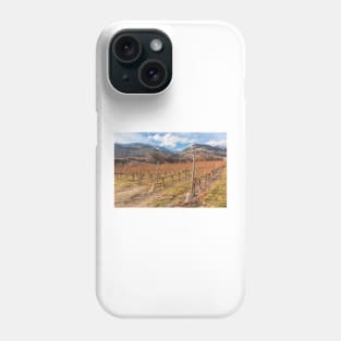 Winter Vineyard and Snowy Mountains - Oliver, BC, Canada Phone Case