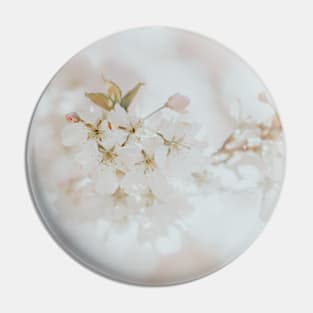 White Cherry Blossom Photo, Atmospheric Oshima Cherry Blossom Close-up Pin