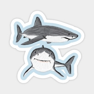 Artwork of a Great White Shark V Magnet