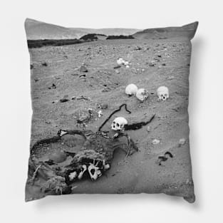 Skulls in the Desert Pillow