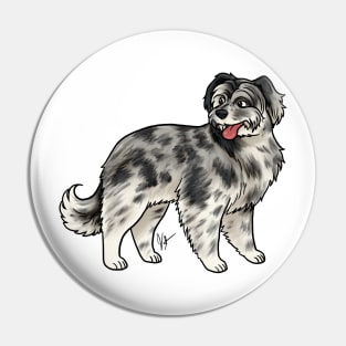 Dog -  Pyrenean Shepherd - Merle Pin