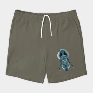 The Woman Monochromatic Blue Tone Shorts