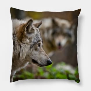 Grey Wolves Pillow