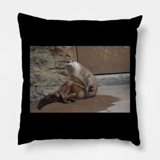 River Otter Pillow