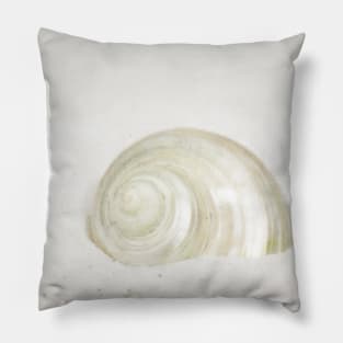Seashell Shell Sand Beach Ocean Pillow