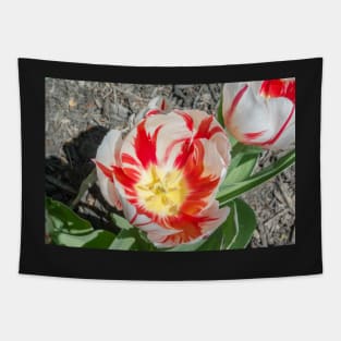 Rembrandt Tulips Tapestry