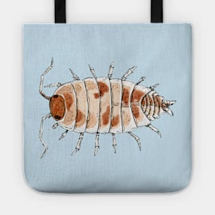 Porcellionides pruinosus "Orange Cream" Isopod Tote