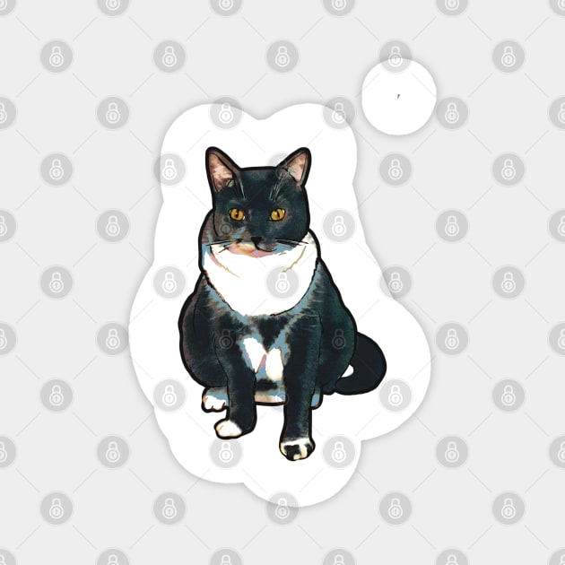 Judgmental Tuxedo Cat Magnet by cherdoodles