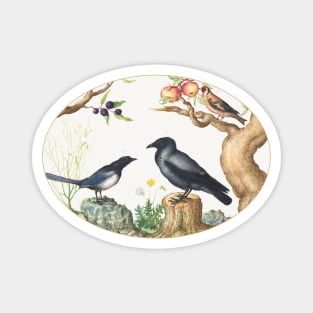 Magpie, Crow, and Goldfinch (1575–1580) Magnet