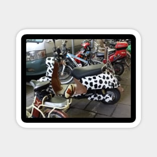 Cow scooter Magnet