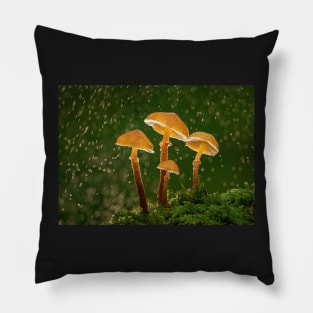 Earthy Powdercap Mushrooms in Rain Pillow