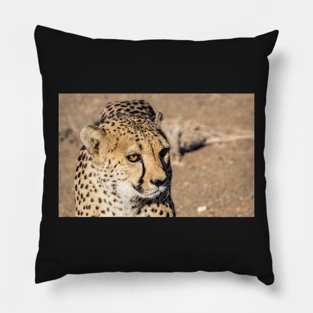 Cheetah. Pillow by sma1050
