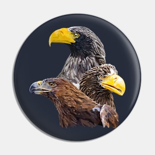 Eagle and eagle Pin