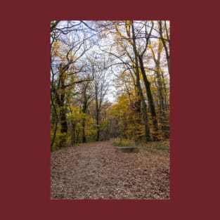 Forest with fallen leaves in autumn T-Shirt