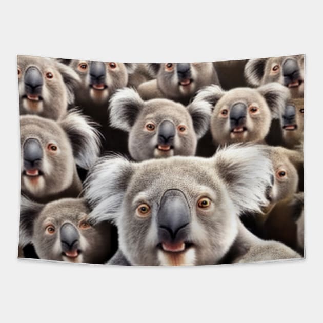 Koala tapestry top