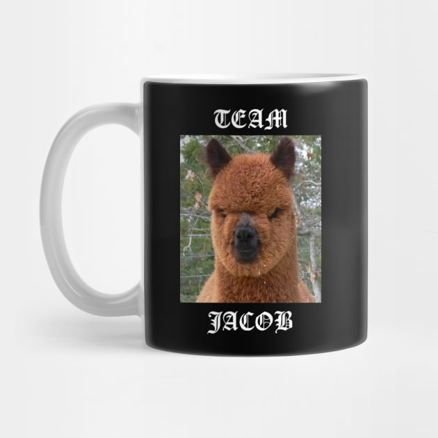 Twilight Mug (Team Jacob)