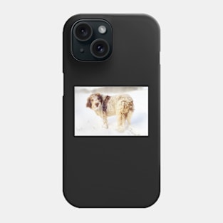 Spinone in a Snowstorm Phone Case