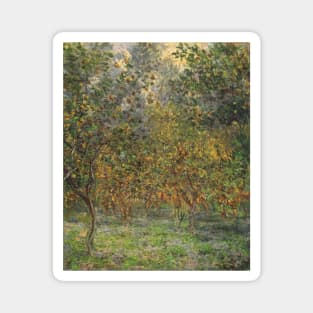 Lemon Grove in Bordighera by Claude Monet Magnet