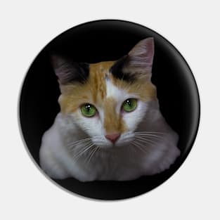 the cat Pin