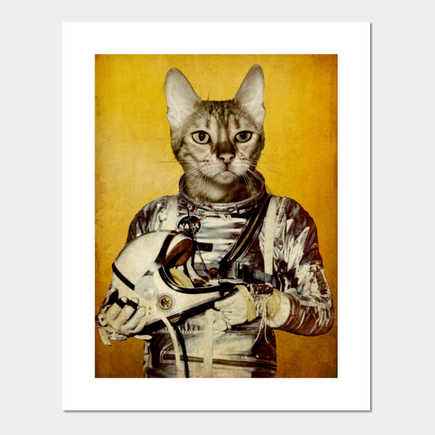 Follow Your Dreams Cat Poster Und Kunst Teepublic De