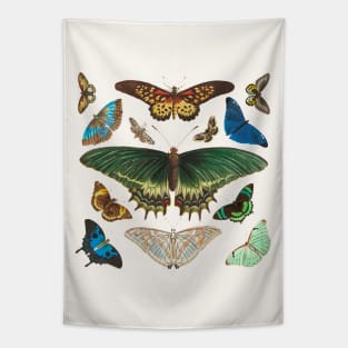 Exotic butterflies Tapestry