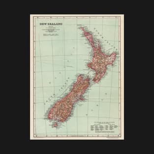 New Zealand Antique Maps T-Shirt