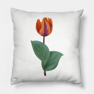 Tulip Pillow
