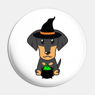 Cute dachshund dog is a witch Pin