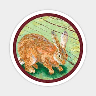 Rabbit and Nature Magnet