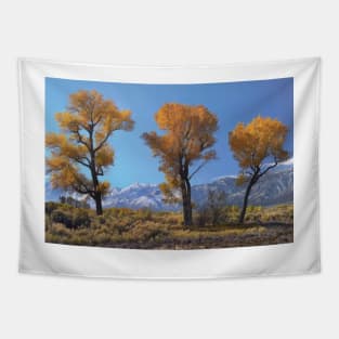 Cottonwood Trees Fall Foliage Carson Valley Tapestry