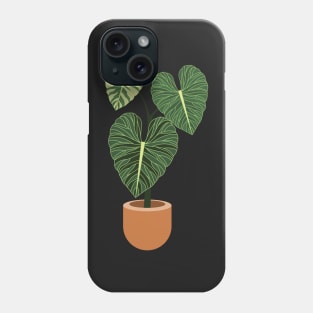 Anthurium regale rare plant Phone Case