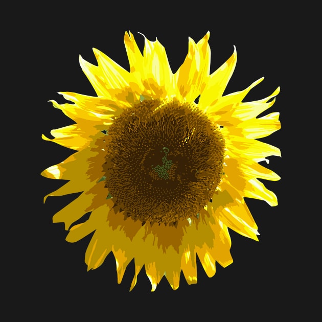 Sunflower by hobrath