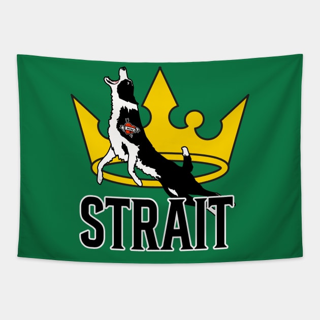 Strait Tapestry by SoStarbcs