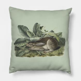 Wild Rabbit Illustration Pillow