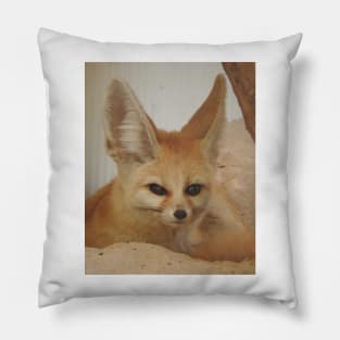 Fennec Fox Pillow