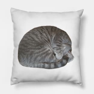 Baxter Ball Cat Nap Pillow