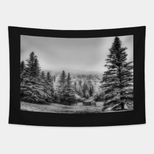 Rustic Remnants Tapestry